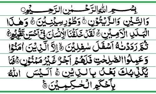 Meaning and Tafsir of Surah At-Tin