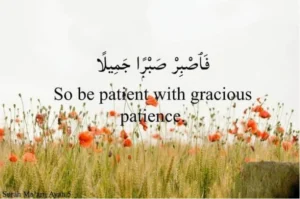 Quran Verses About Patience in Arabic With Translation